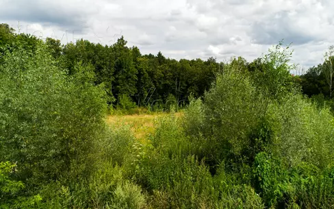 Участок 84 сот.