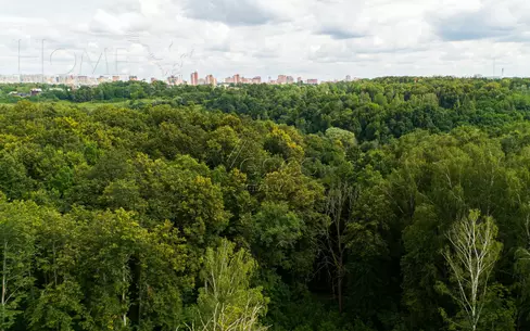 Участок 84 сот.