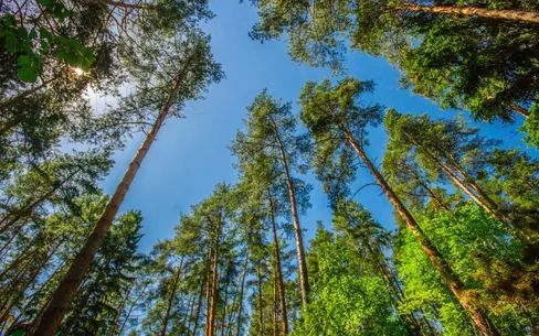 Участок 37.63 сот. в охраняемом поселке