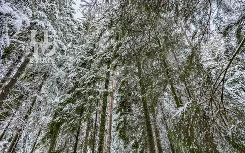 Участок 50 сот. в охраняемом поселке