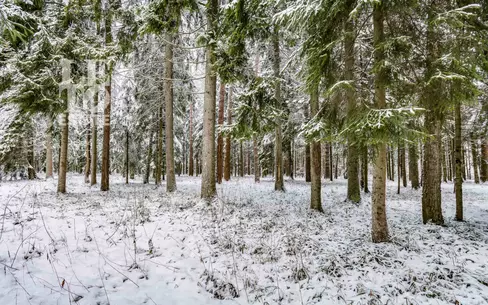 Участок 50 сот. в охраняемом поселке