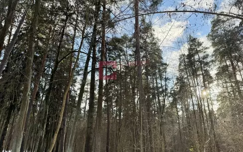 Участок 650 сот. в охраняемом поселке