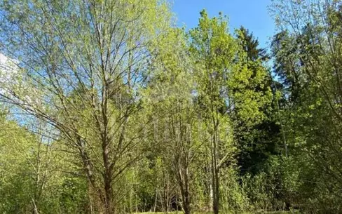 Участок 16 сот. в охраняемом поселке