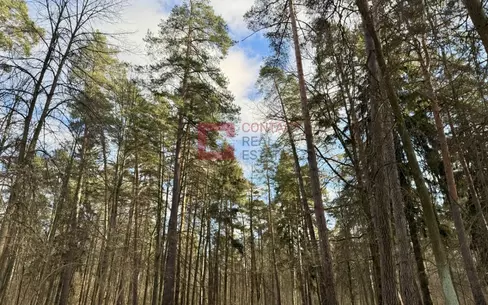 Участок 650 сот. в охраняемом поселке