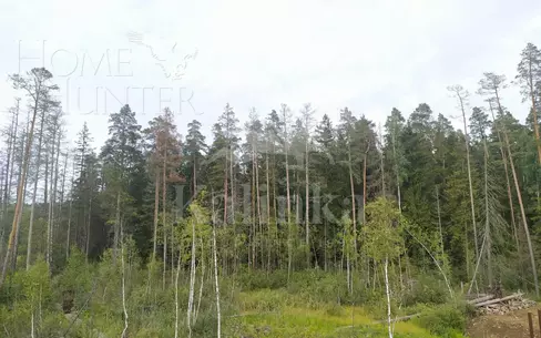 2-этажный коттедж 1 500 м² без отделки