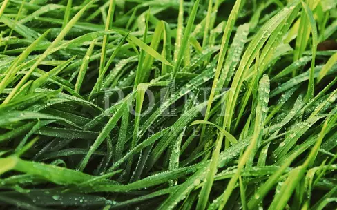 Участок 23 сот.