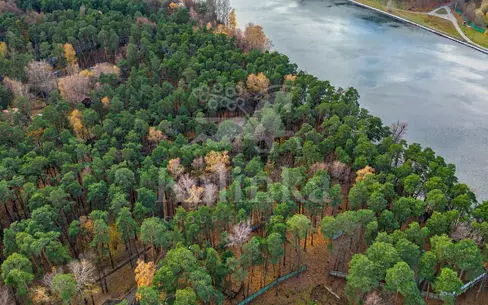 Участок 39 сот. в охраняемом поселке