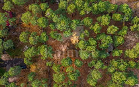 Участок 39 сот. в охраняемом поселке