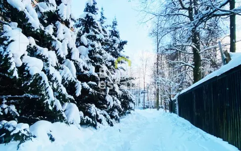 Участок 31 сот.