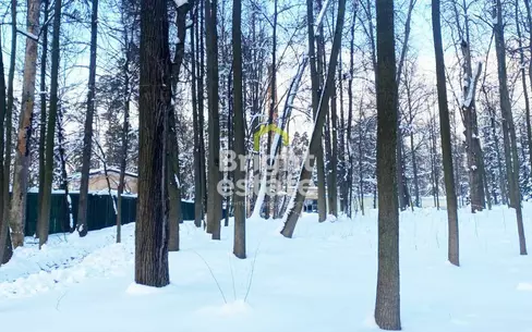 Участок 31 сот.