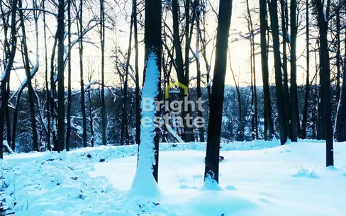 Участок 31 сот.