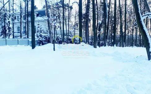 Участок 31 сот.