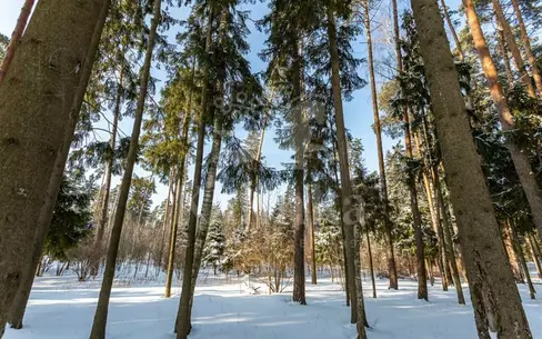 Участок 200 сот. в охраняемом поселке