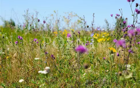 Участок 16 сот. в охраняемом поселке