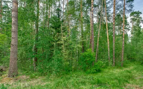 Участок 12 сот. в охраняемом поселке