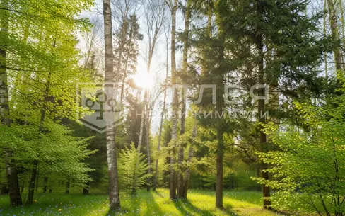 Участок 10 сот. в охраняемом поселке