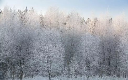 Участок 24.5 сот. в охраняемом поселке