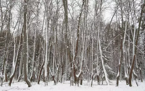 Участок 24.5 сот. в охраняемом поселке