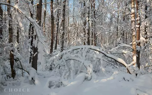 Участок 24.5 сот. в охраняемом поселке