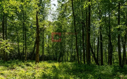 Участок 31.69 сот. в охраняемом поселке