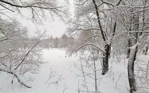 Участок 32.16 сот.