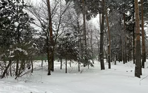 Участок 11.17 сот.