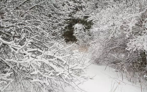 Участок 32.16 сот.