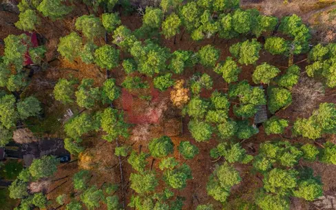 Участок 32.62 сот.