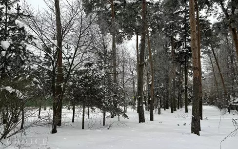 Участок 11.17 сот.