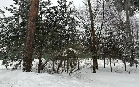 Участок 11.17 сот.