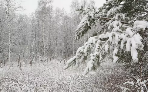 Участок 32.16 сот.