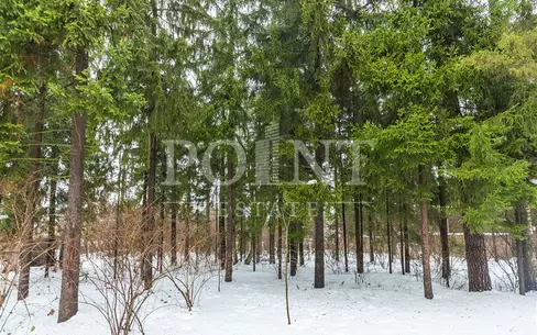 Участок 83 сот.