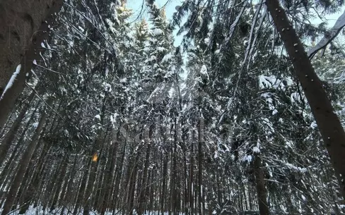 Участок 45 сот. в охраняемом поселке