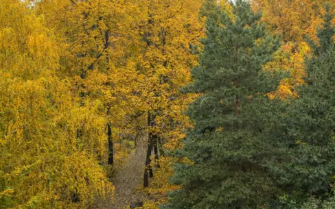 5-КОМН. КВАРТИРА БЕЗ ОТДЕЛКИ 290 М² НА 5 ЭТАЖЕ