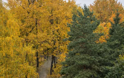 4-КОМН. КВАРТИРА БЕЗ ОТДЕЛКИ 170 М² НА 4 ЭТАЖЕ