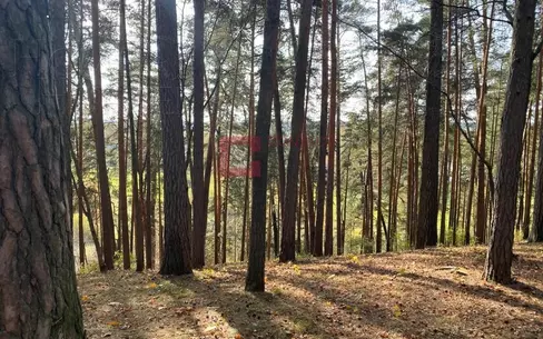 Участок 40 сот. в охраняемом поселке