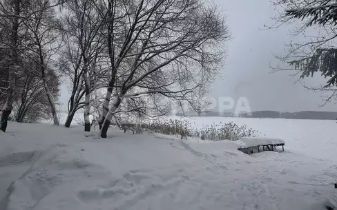 Участок 46 сот.