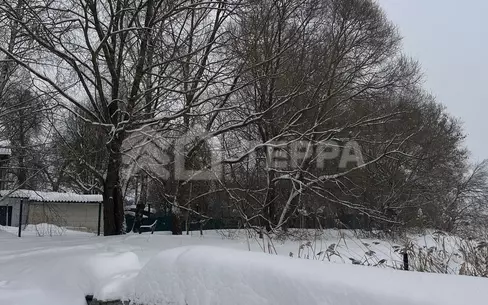 Участок 46 сот.