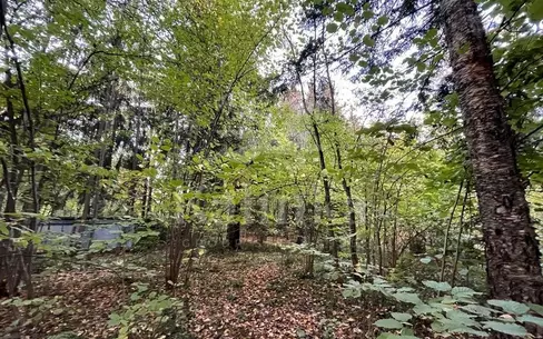 Участок 24 сот. в охраняемом поселке