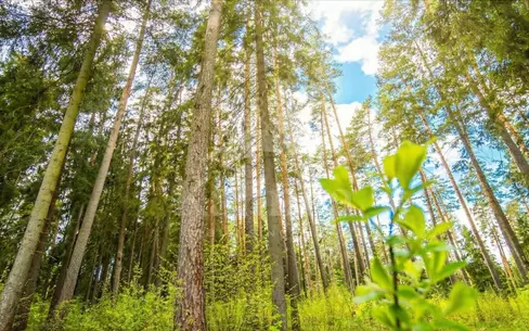 Участок 64 сот. в охраняемом поселке