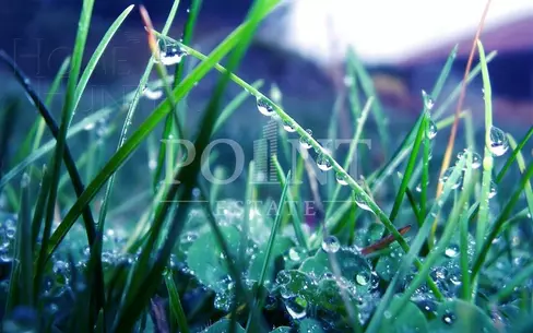 Участок 28 сот.