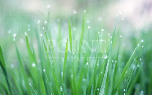 Участок 28 сот.