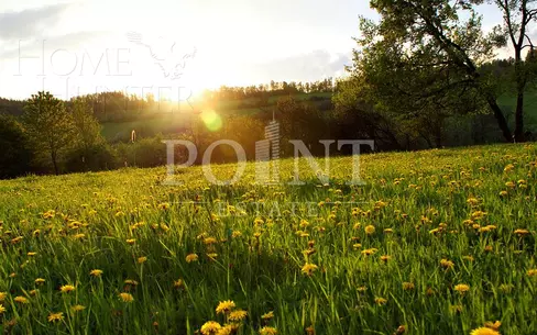 Участок 21 сот.