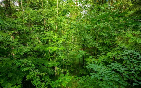 Участок 35 сот. в охраняемом поселке