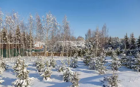 Участок 100 сот. в охраняемом поселке