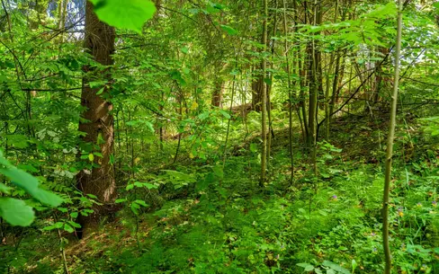 Участок 35 сот. в охраняемом поселке