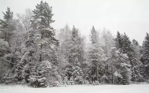 Участок 83 сот. в охраняемом поселке