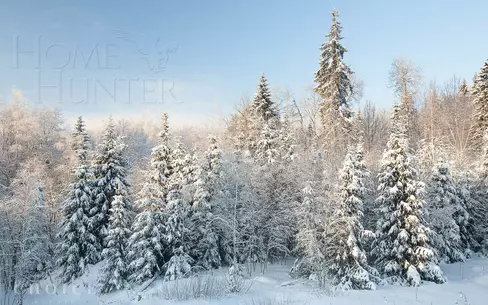 Участок 83 сот. в охраняемом поселке