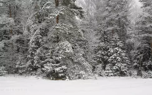 Участок 28 сот. в охраняемом поселке