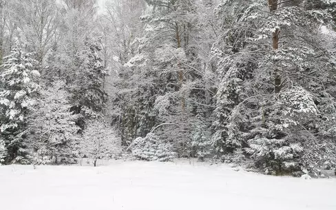 Участок 83 сот. в охраняемом поселке